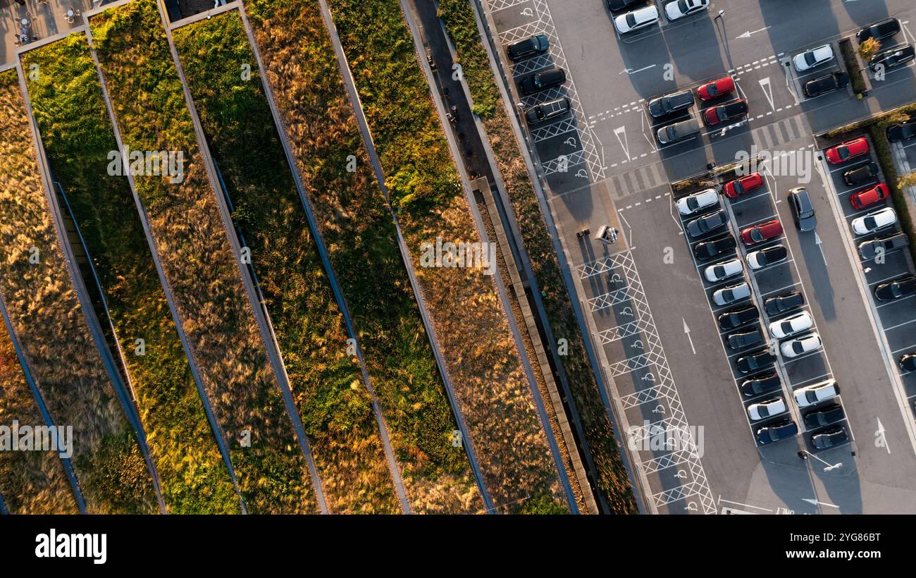 Vista aerea di un tetto vivo maturo ed esteso sull'edificio di un edificio responsabile che fornisce biodiversità e isolamento riducendo al contempo il Foto Stock