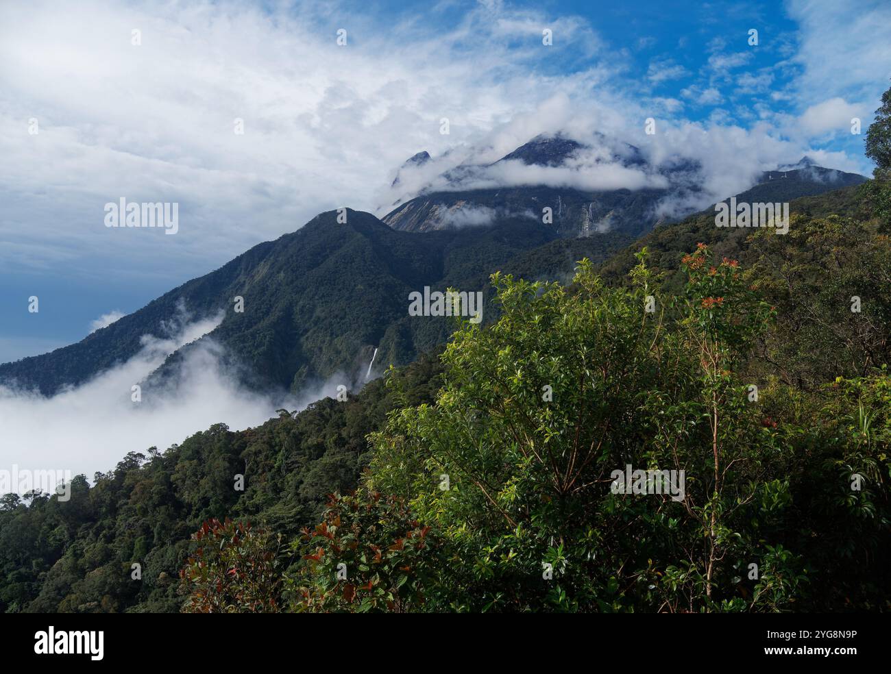 Il monte Kinabalu Gayo Ngaran o Nulu Nabalu o Gunung Kinabalu è la montagna più alta del Borneo e della Malesia, 4095 m, protetta come Kinabalu Park, a World Foto Stock