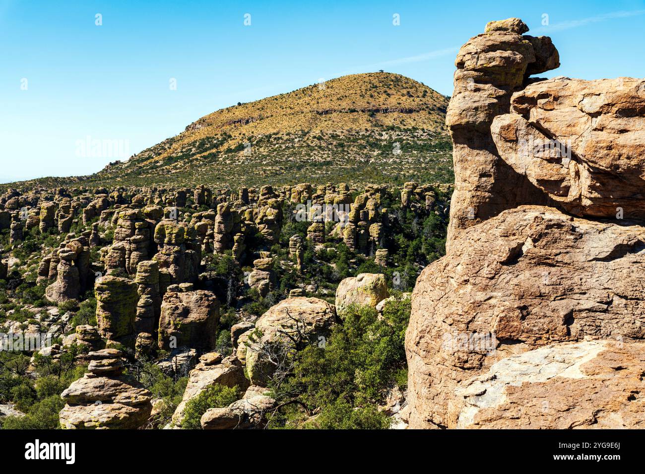 Formazioni rocciose insolite; Massai Point; Chiricahua National Monument; Arizona; USA Foto Stock