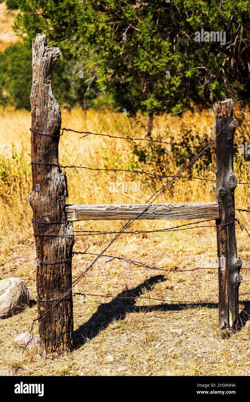Recinzione e recinzione in legno usurati; storico Faraway Ranch; Chiricahua National Monument; Arizona; Stati Uniti Foto Stock
