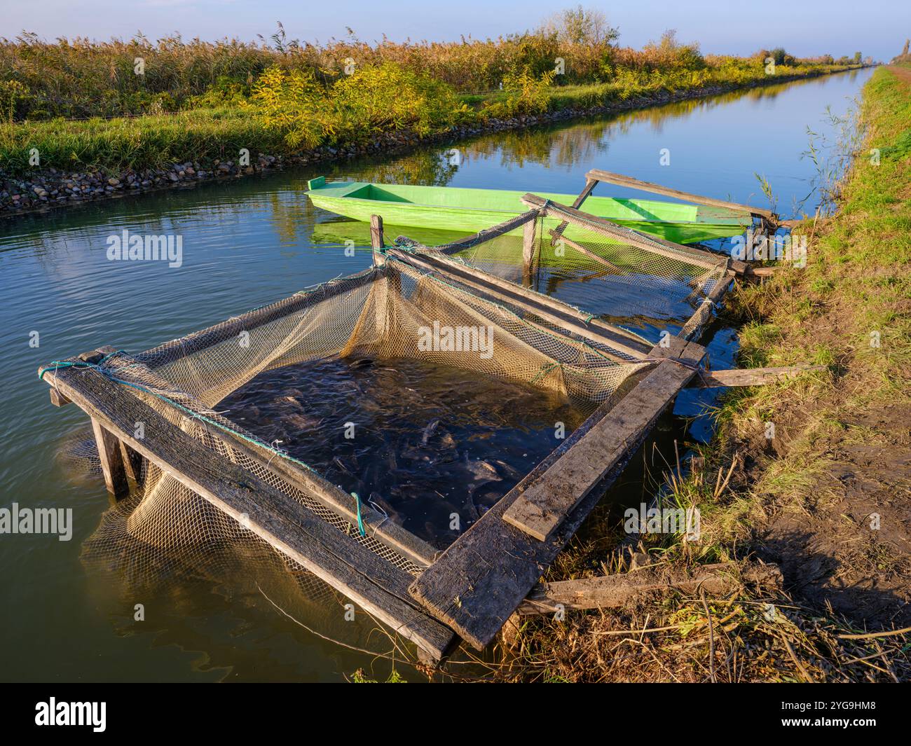 Raccolta del pesce in autunno. Paesaggio presso i grandi laghetti Hortobagy nel Parco Nazionale Hortobagy, sito UNESCO e sito Ramsar. Ungheria. Foto Stock