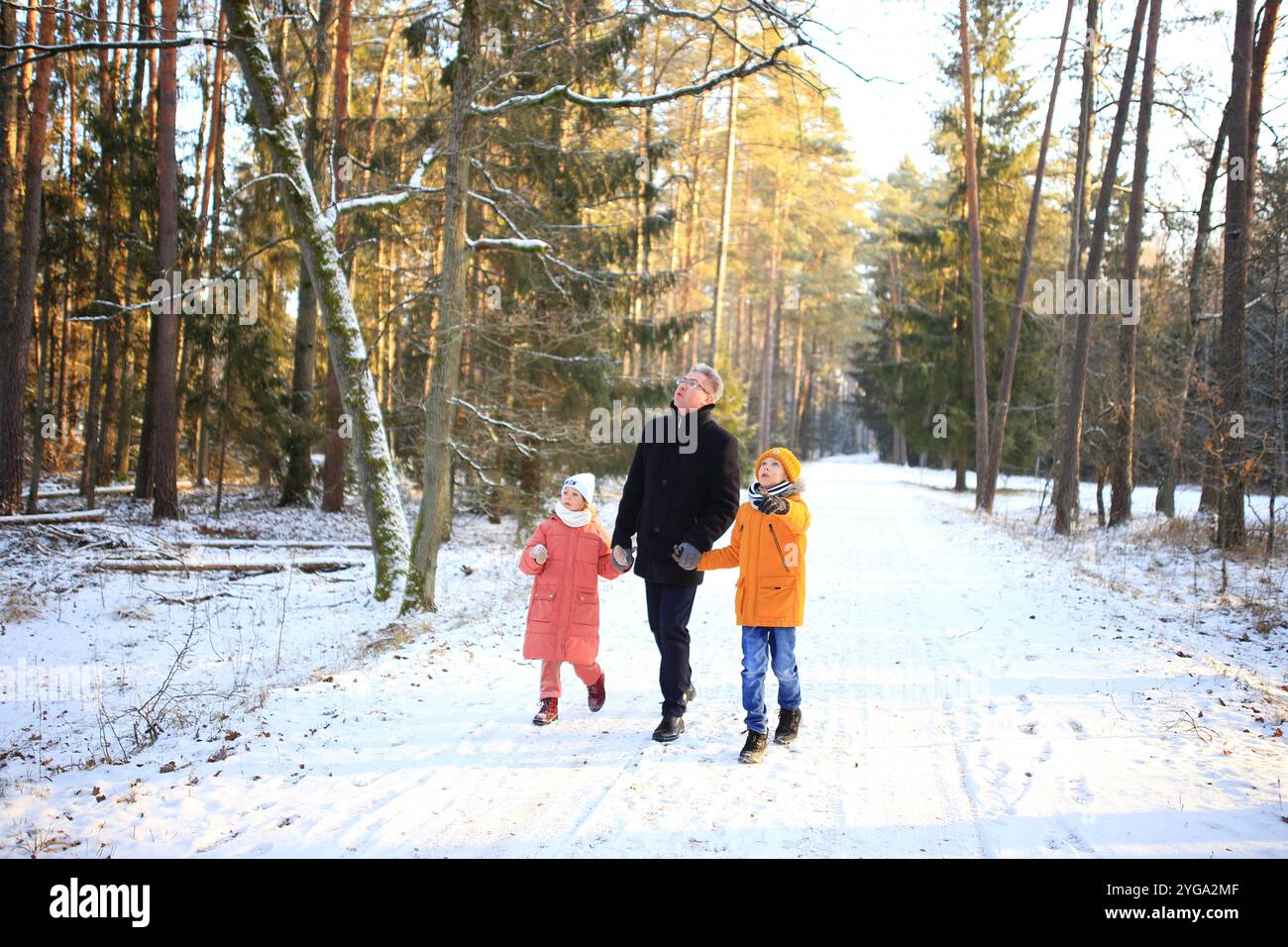 Un padre ama una piacevole passeggiata con i suoi due figli attraverso una splendida foresta innevata. La scena cattura la gioia del tempo con la famiglia in mezzo al tranquillo paesaggio invernale, con alberi innevati che creano uno sfondo magico. Foto Stock