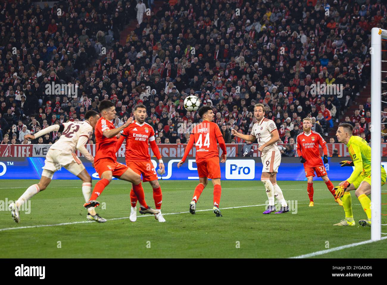 Monaco, Germania. 6 novembre 2024. Monaco, Germania, Novemberr 06° 2024: Marcatore Jamal Musiala (42 Monaco) durante la partita di calcio di UEFA Champions League tra il Bayern Monaco e il Benfica Lisbon all'Allianz Arena di Monaco, Germania. Philipp Kresnik (Philipp Kresnik/SPP) credito: SPP Sport Press Photo. /Alamy Live News Foto Stock