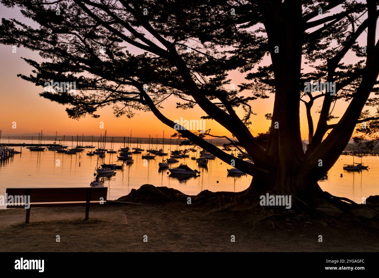 USA, California, Monterey. Baia di Monterey all'alba con barche sagomate ancorate nella baia. Foto Stock