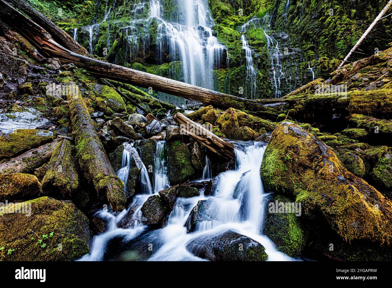 Proxy Falls in Oregon. Foto Stock