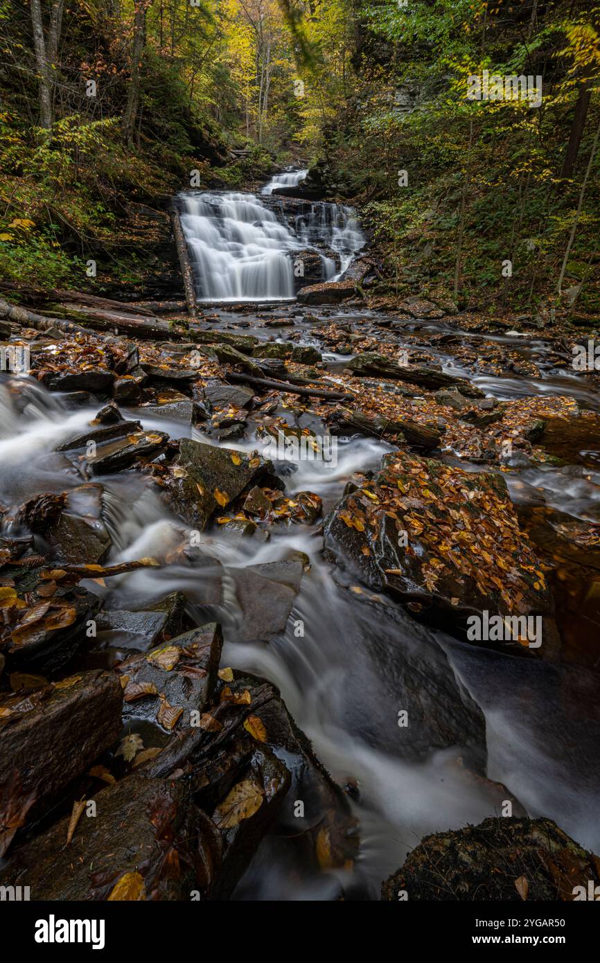 Stati Uniti, Pennsylvania. Ricketts Glen State Park, una delle tante cascate di questo parco. Foto Stock