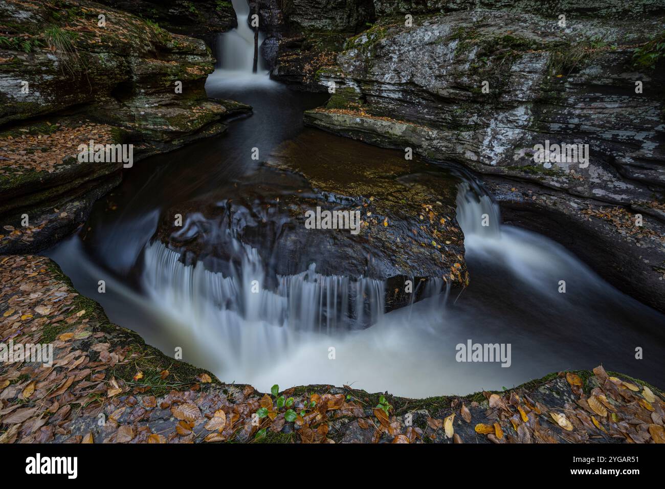 Stati Uniti, Pennsylvania. Ricketts Glen State Park, Adams Falls è una delle 22 cascate di questo parco. Foto Stock