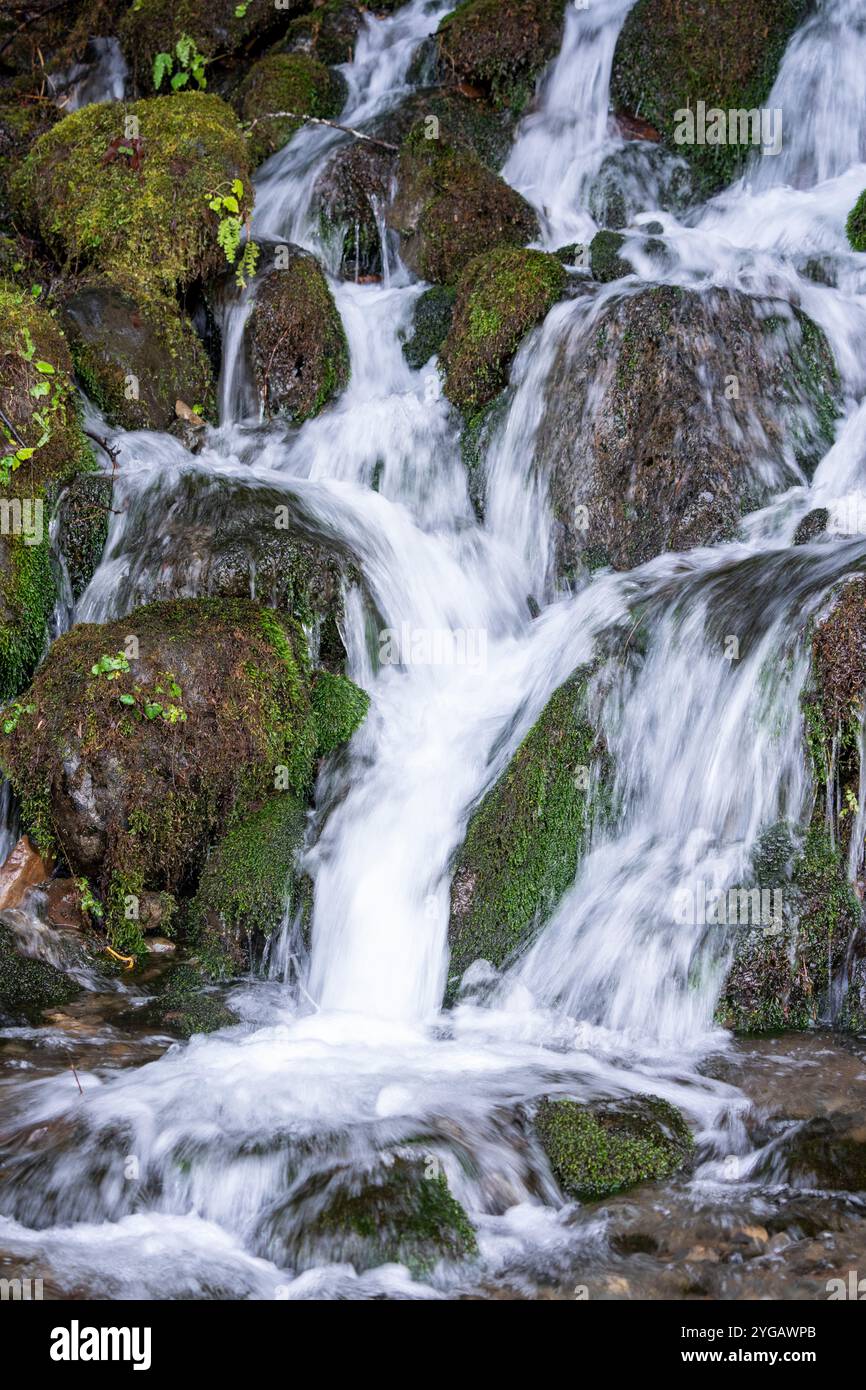 Quinault, Stato di Washington, Stati Uniti. Cascate di Bunch Creek nella foresta pluviale di Quinault. Foto Stock