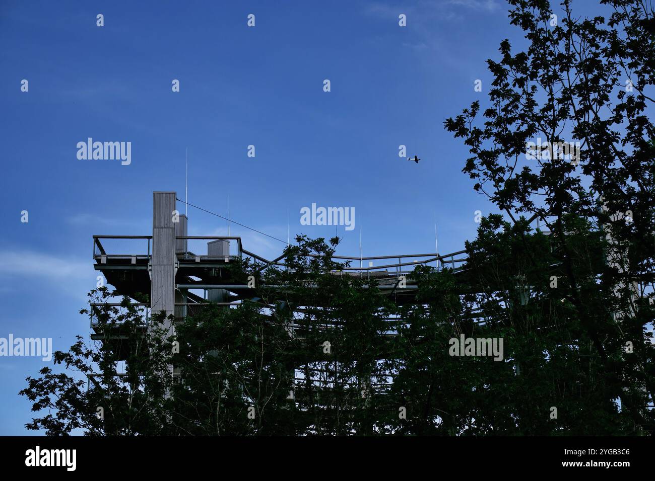 Mettlach, Germania - 27 giugno 2021: Passeggiata sulla cima degli alberi dietro gli alberi a Saarschleife in un pomeriggio primaverile soleggiato in Germania. Foto Stock