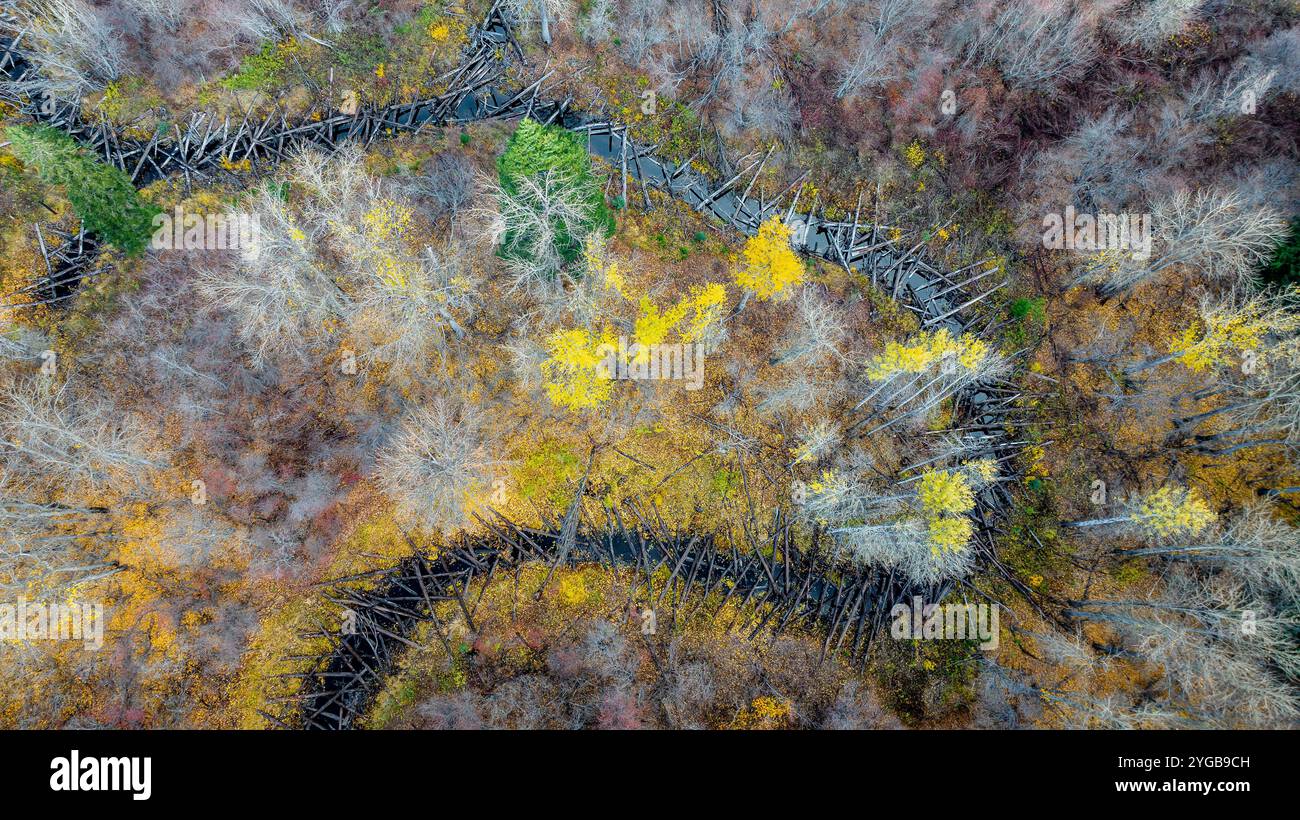 Vista aerea di una marmellata di tronchi lungo un torrente nella North Cascades, nello stato di Washington, Stati Uniti Foto Stock