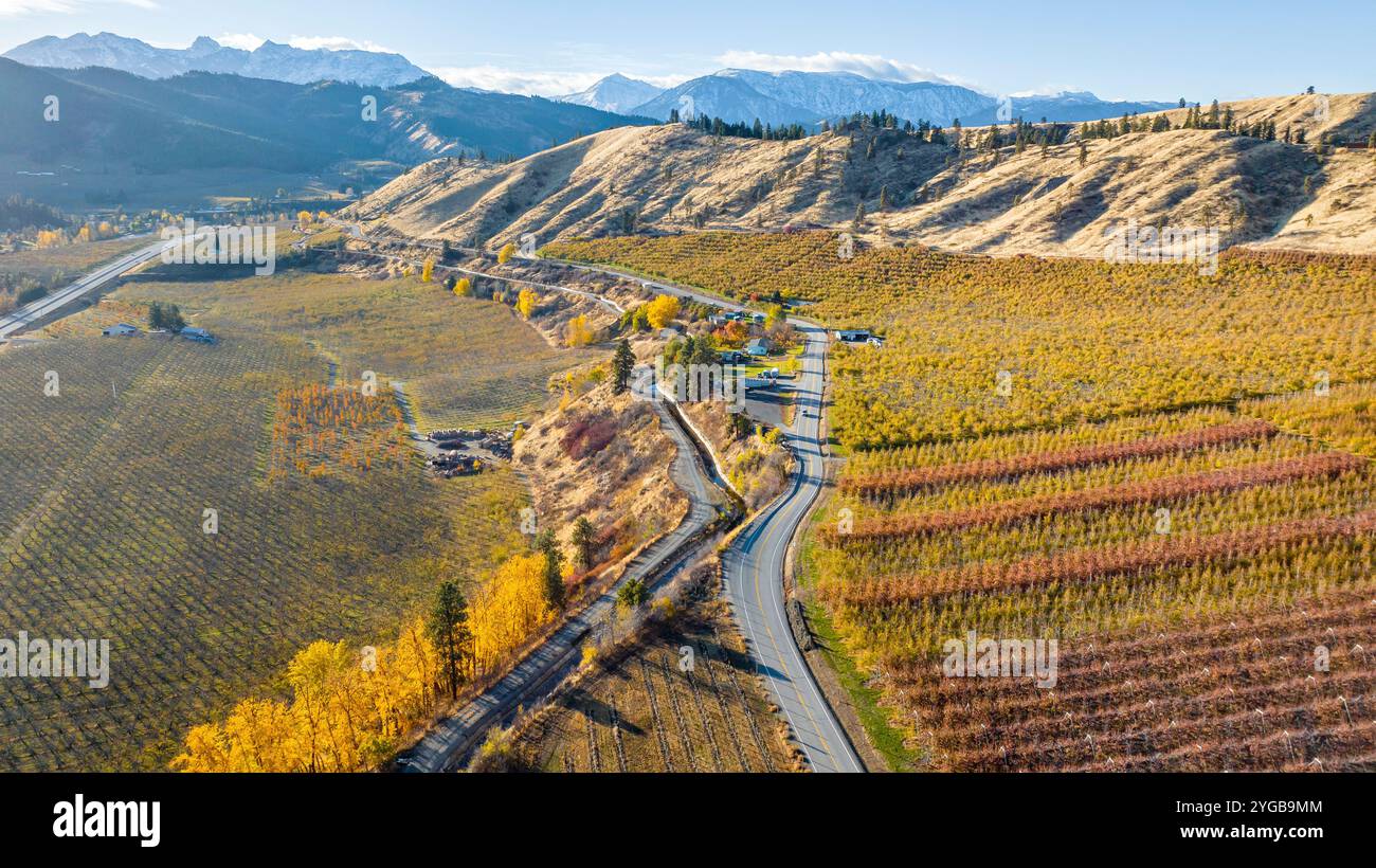 Frutteti vicino a Peshastin, Washington, USA Foto Stock