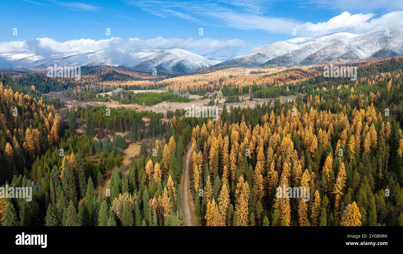 Vista aerea dello storico vivaio Savenac del servizio forestale degli Stati Uniti, Haugan, Montana Foto Stock