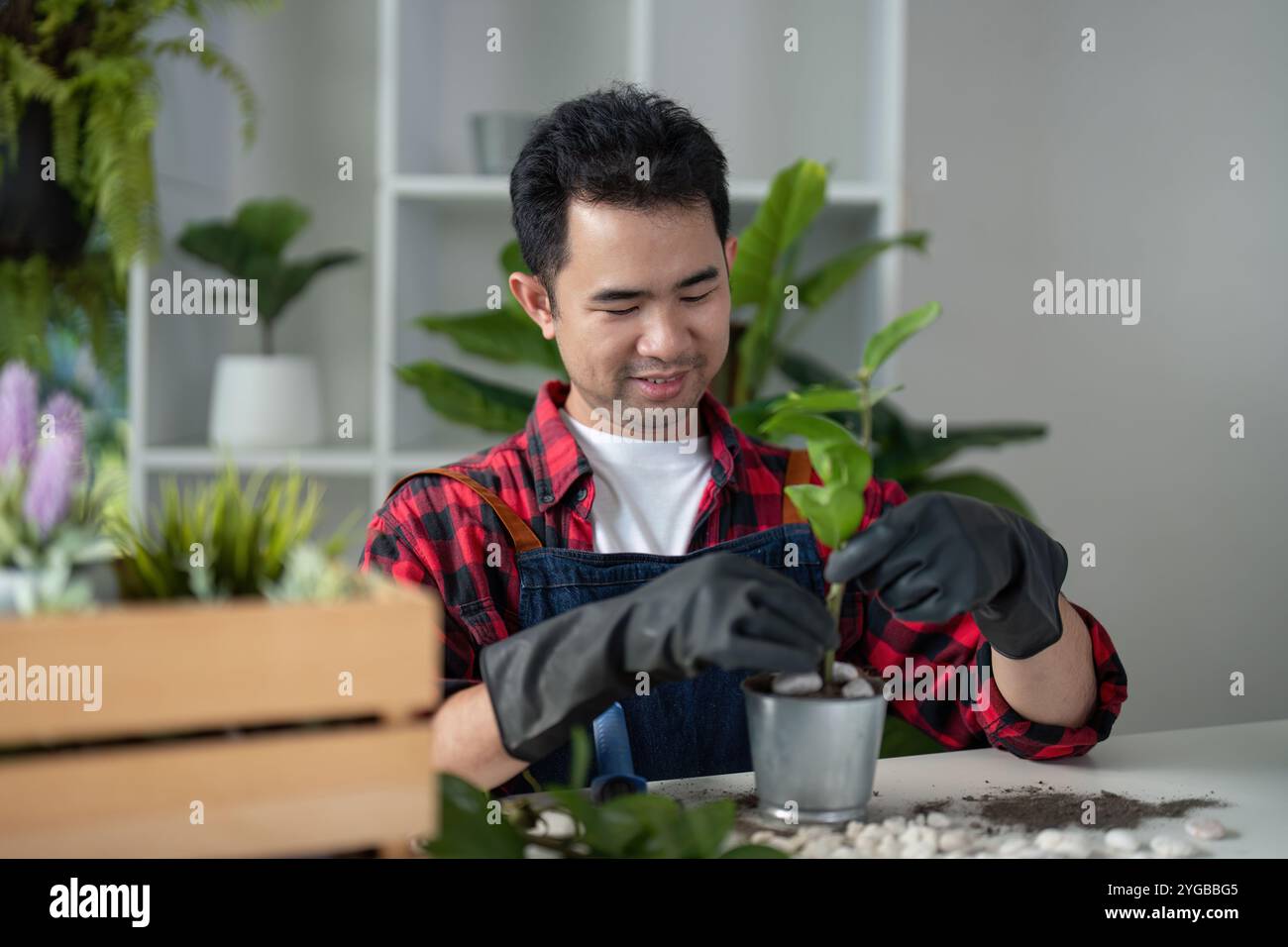 Responsabile della manutenzione di un giardino interno Foto Stock