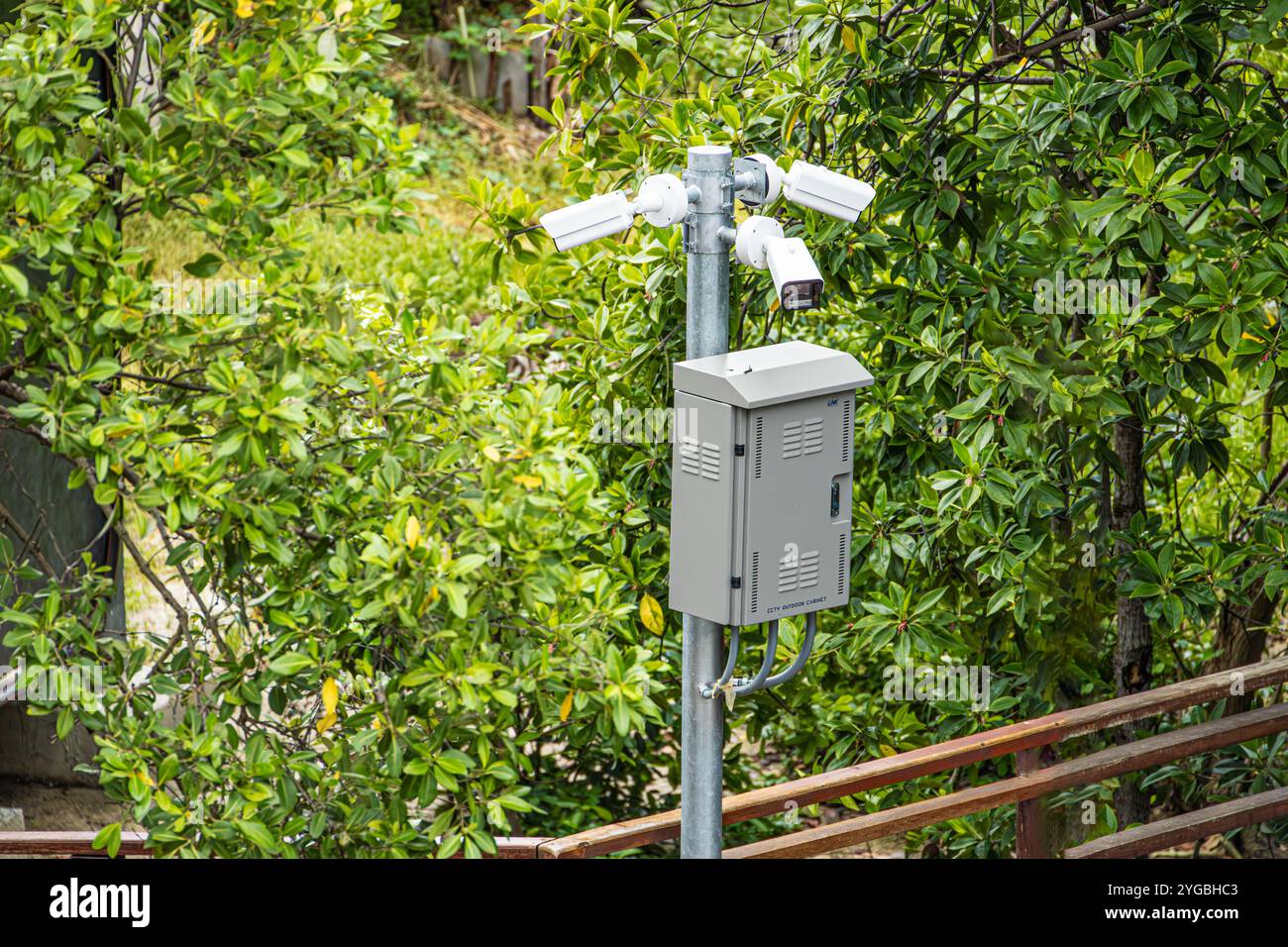Telecamera a circuito chiuso nel giardino del parco pubblico forestale o nel parco nazionale per la sicurezza e la protezione dell'ecosistema animale in natura. Foto Stock Telecamera a circuito chiuso nel giardino del parco pubblico forestale o nel parco nazionale per la sicurezza e la protezione dell'ecosistema animale in natura. Foto Stock