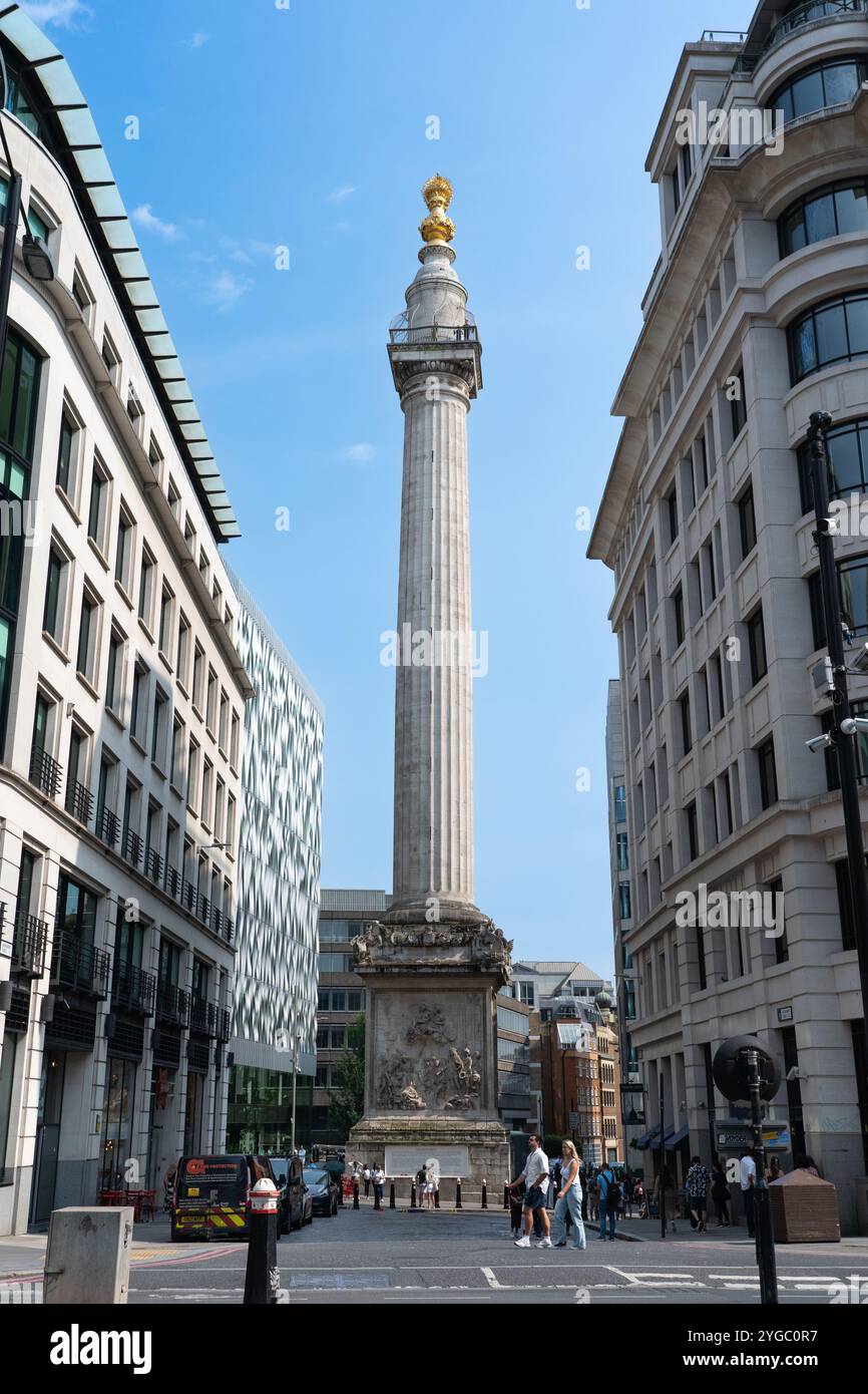 Christopher Wren progettò la colonna dorica in pietra di Portland (il Monumento) per commemorare il grande incendio di Londra, Fish Hill Street. Inghilterra Foto Stock