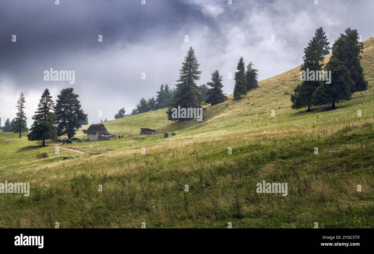 Un tranquillo paesaggio rurale nei Carpazi, in Polonia, caratterizzato da una cabina di legno, lussureggianti colline verdi e alti pini sotto un cielo nuvoloso. Foto Stock