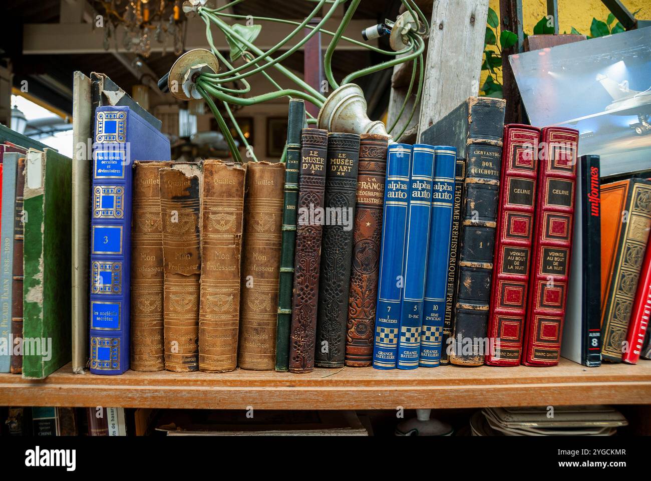 Parigi, Francia, primo piano, Cover Books in esposizione, negozi, mercato delle pulci, (porte de Clignancourt), mercato dell'antiquariato, Old Books Shop, negozio di articoli sportivi Foto Stock