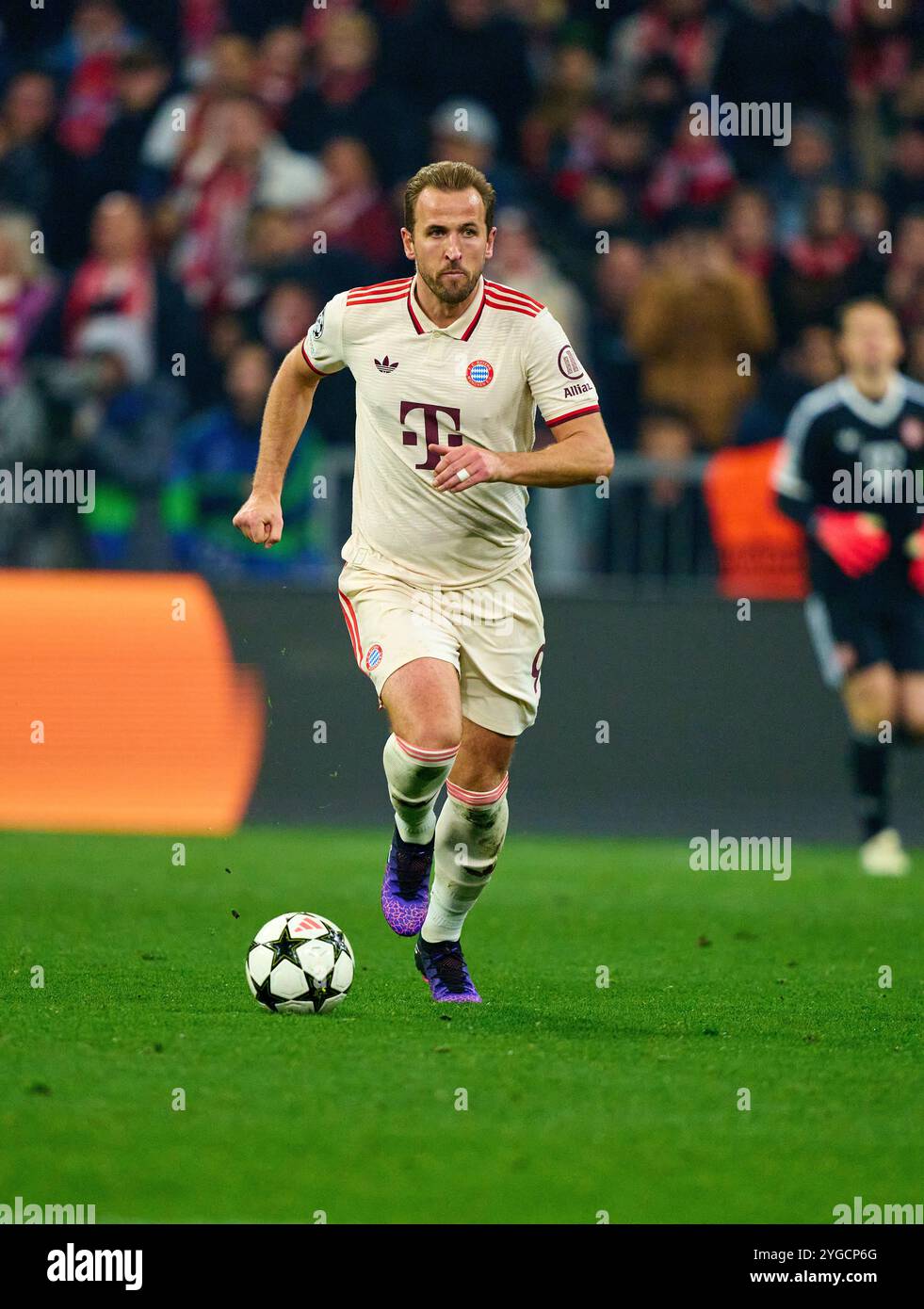 Harry Kane, FCB 9 nella partita di campionato a gironi FC BAYERN MUENCHEN - SL BENFICA LISSABON 1-0 di calcio UEFA Champions League nella stagione 2024/2025 a Monaco, 6 novembre 2024, FCB, 4. Spieltag, München fotografo: Peter Schatz Foto Stock