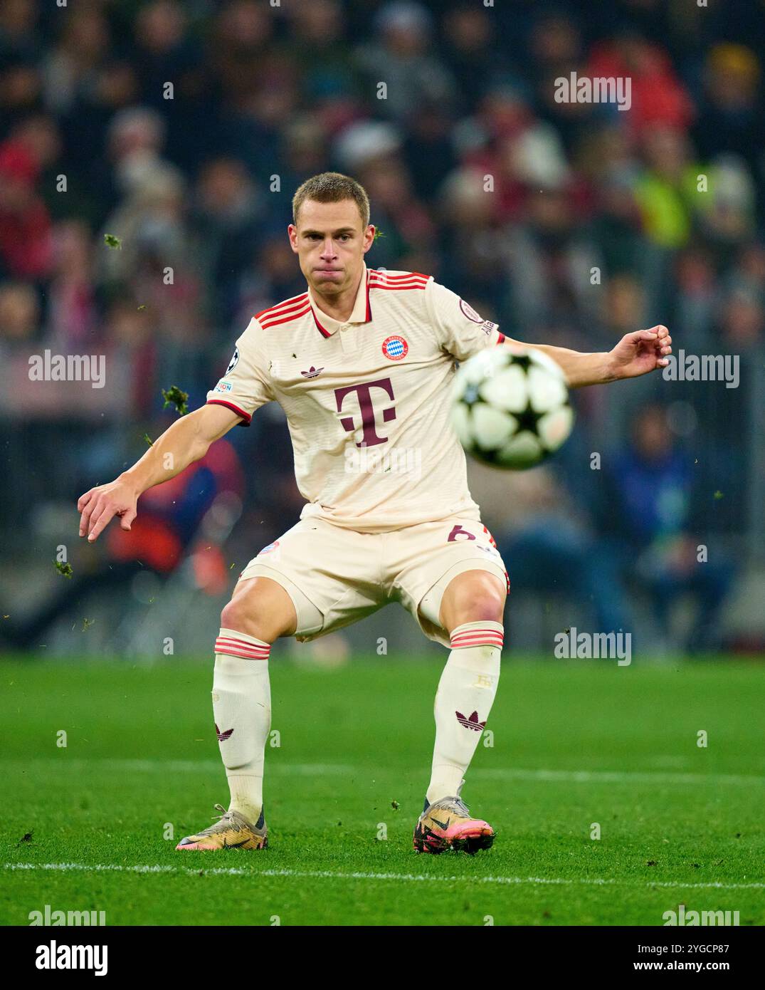 Joshua KIMMICH, FCB 6 nella partita di campionato a gironi FC BAYERN MUENCHEN - SL BENFICA LISSABON 1-0 di calcio UEFA Champions League nella stagione 2024/2025 a Monaco di Baviera, 6 novembre 2024 , FCB, 4. Spieltag, München fotografo: Peter Schatz Foto Stock