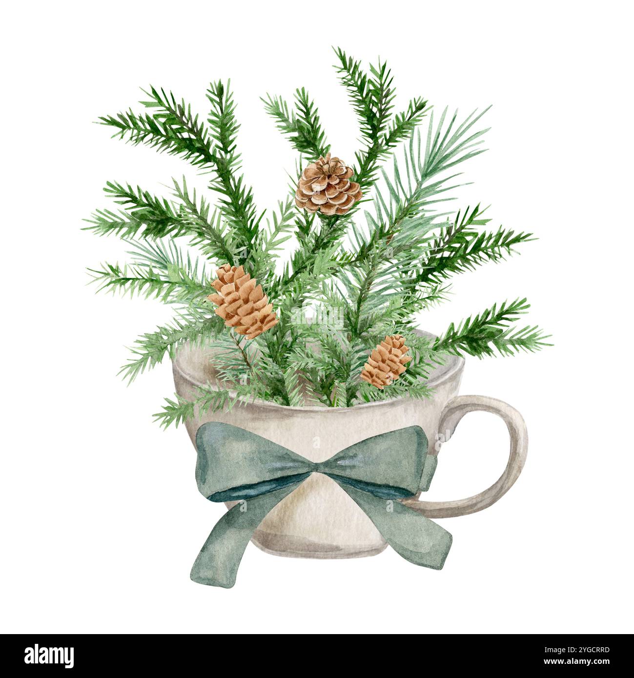 Composizione acquerello con un bouquet di rami di pino con coni in una tazza decorata con un arco Foto Stock