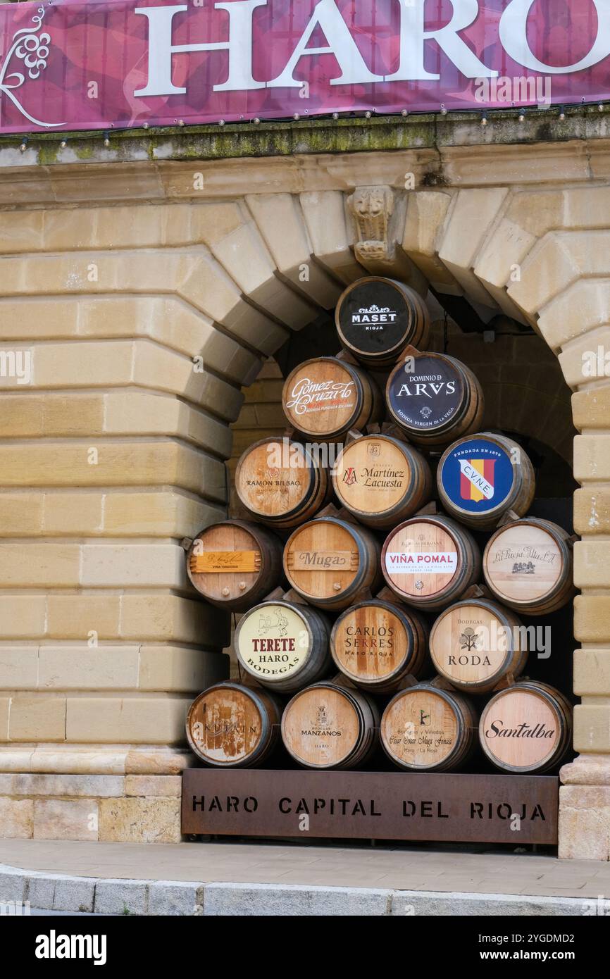 Botti da vino di grande bodegas o winehouses di Haro, La Rioja, Spagna Foto Stock