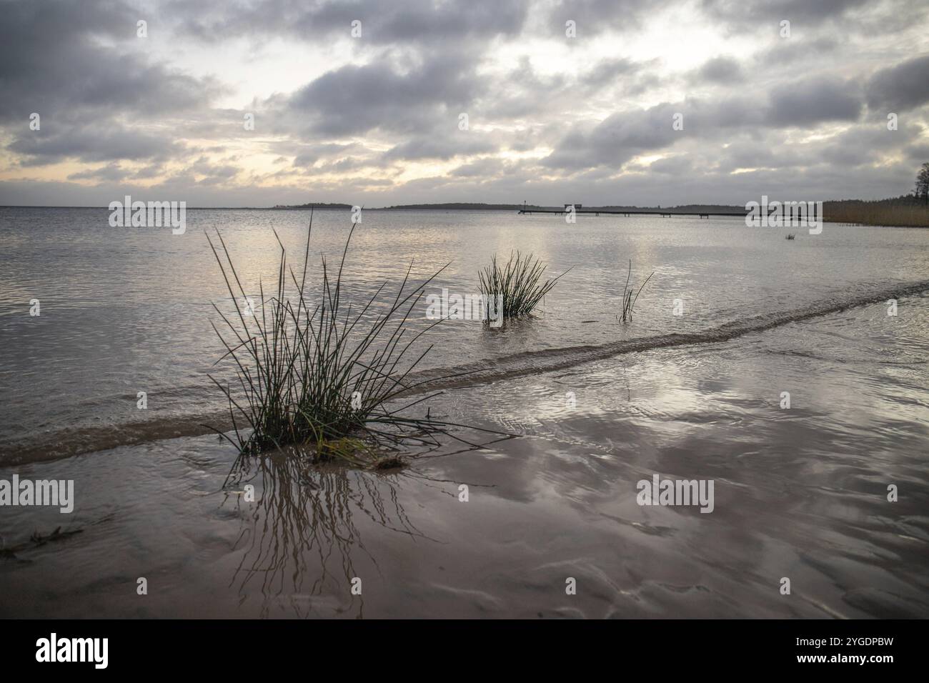 Alba su un lago in autunno. Un molo di legno si sporge nell'acqua, mentre l'erba si è affermata sulla spiaggia di sabbia. Il lago e la spiaggia del lago V. Foto Stock