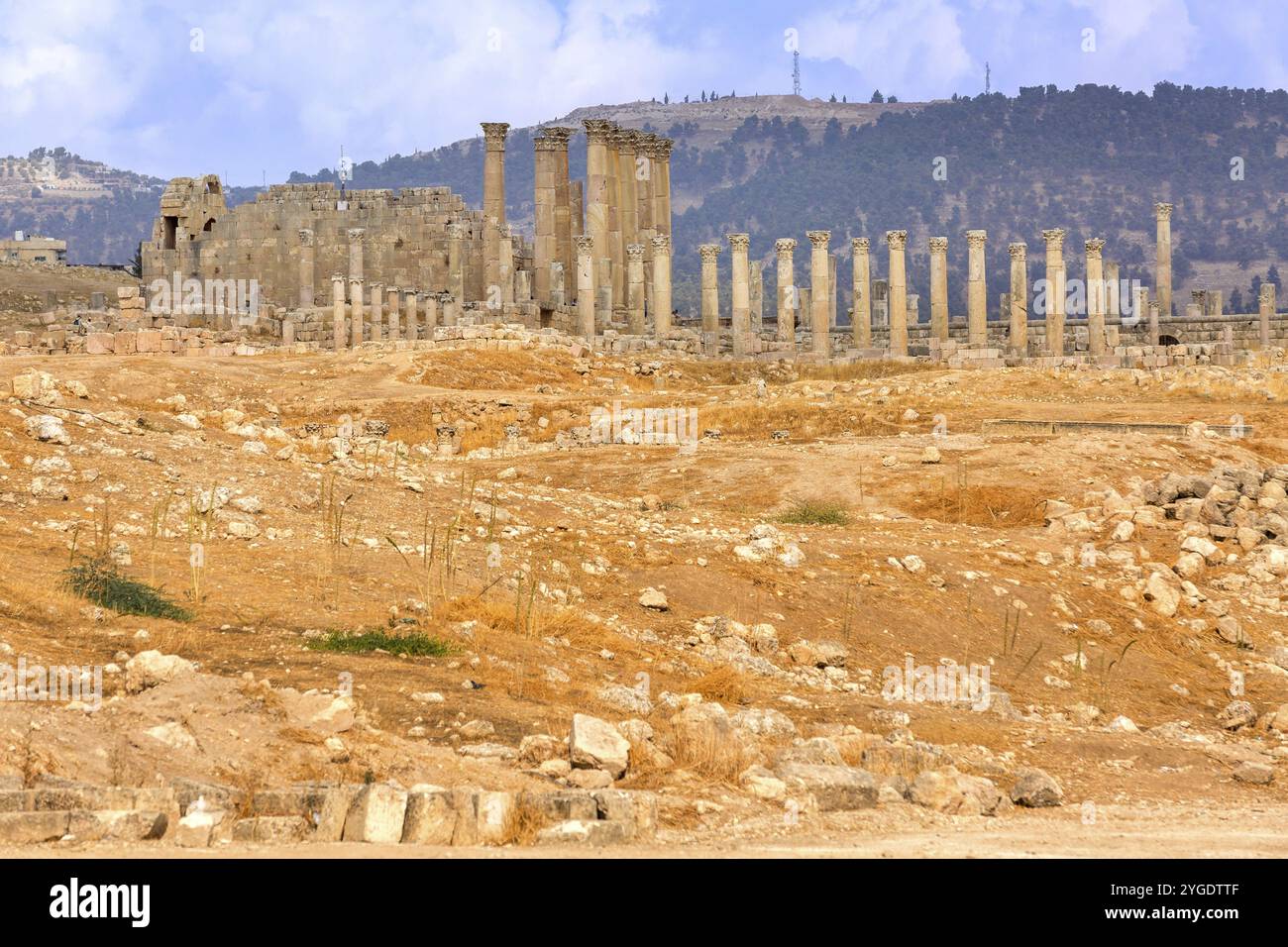 Jerash, JordanTempio di Artemide nell'antica città romana di Gerasa, Jarash giorno prestabilito Foto Stock