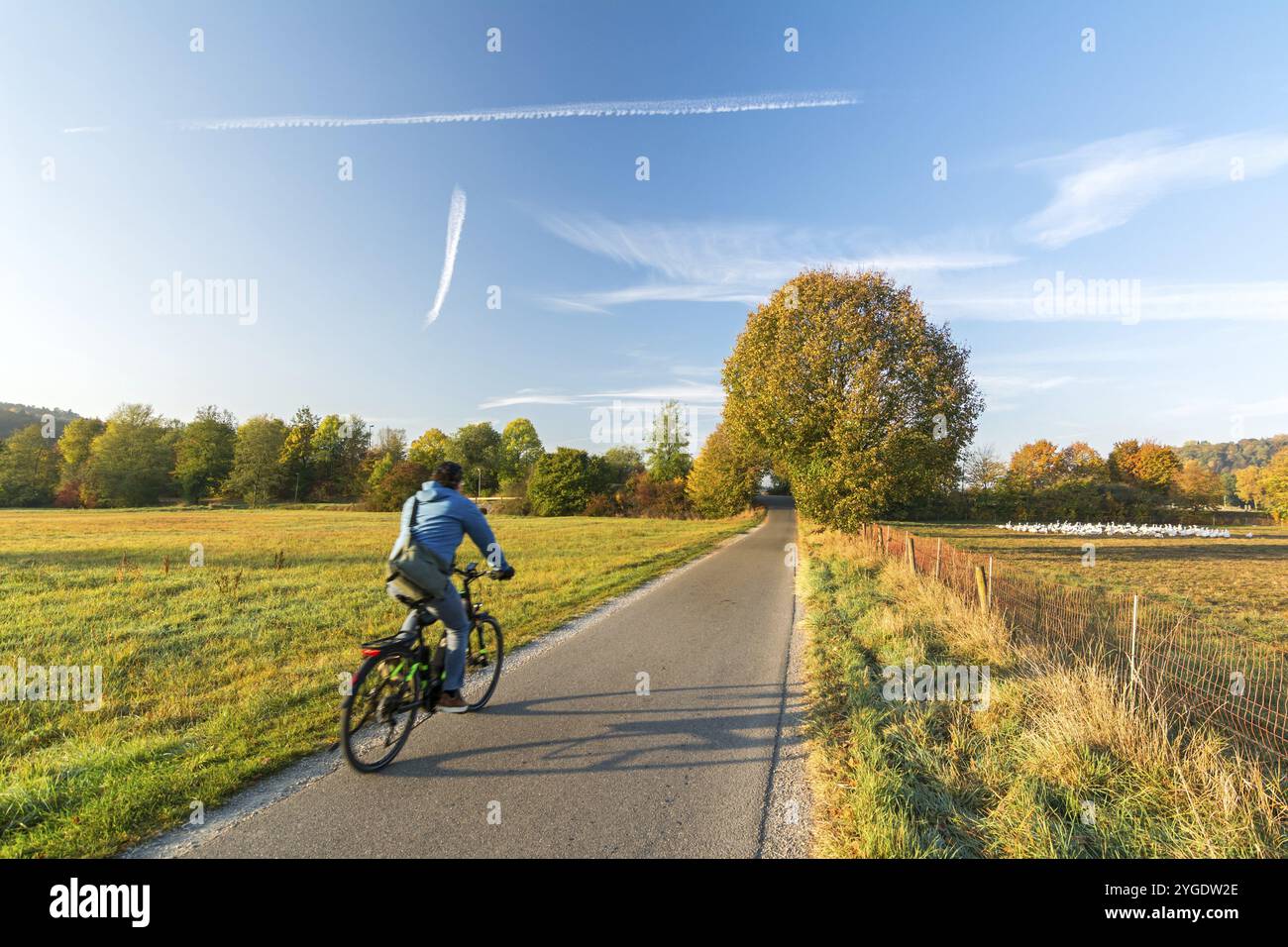 Ciclista su una pista ciclabile in paesaggio rurale in autunno Foto Stock