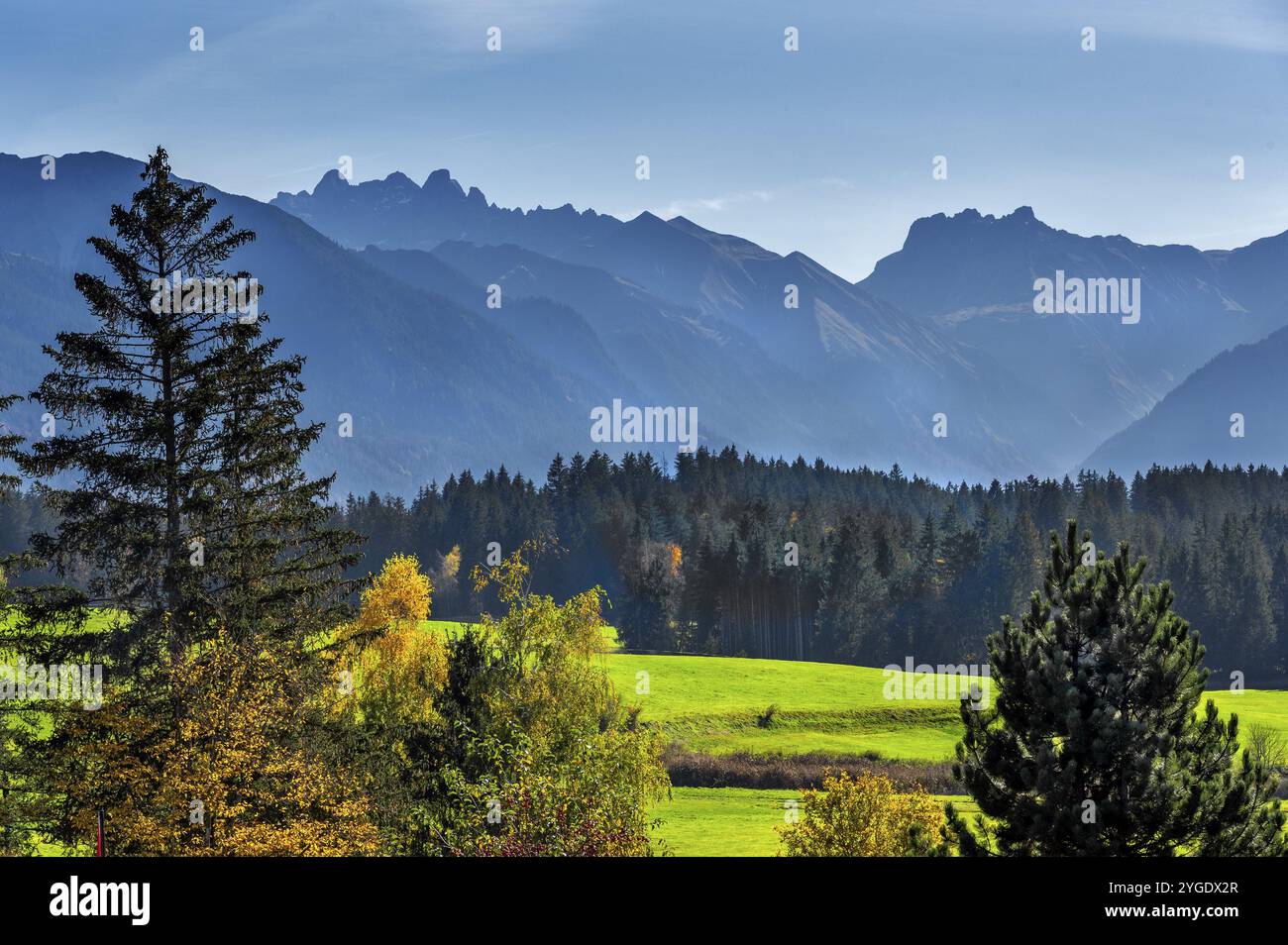 Prati verdi, Alpi Allgaeu e foreste miste vicino a Ofterschwang, Allgaeu, Baviera, Germania, Europa Foto Stock