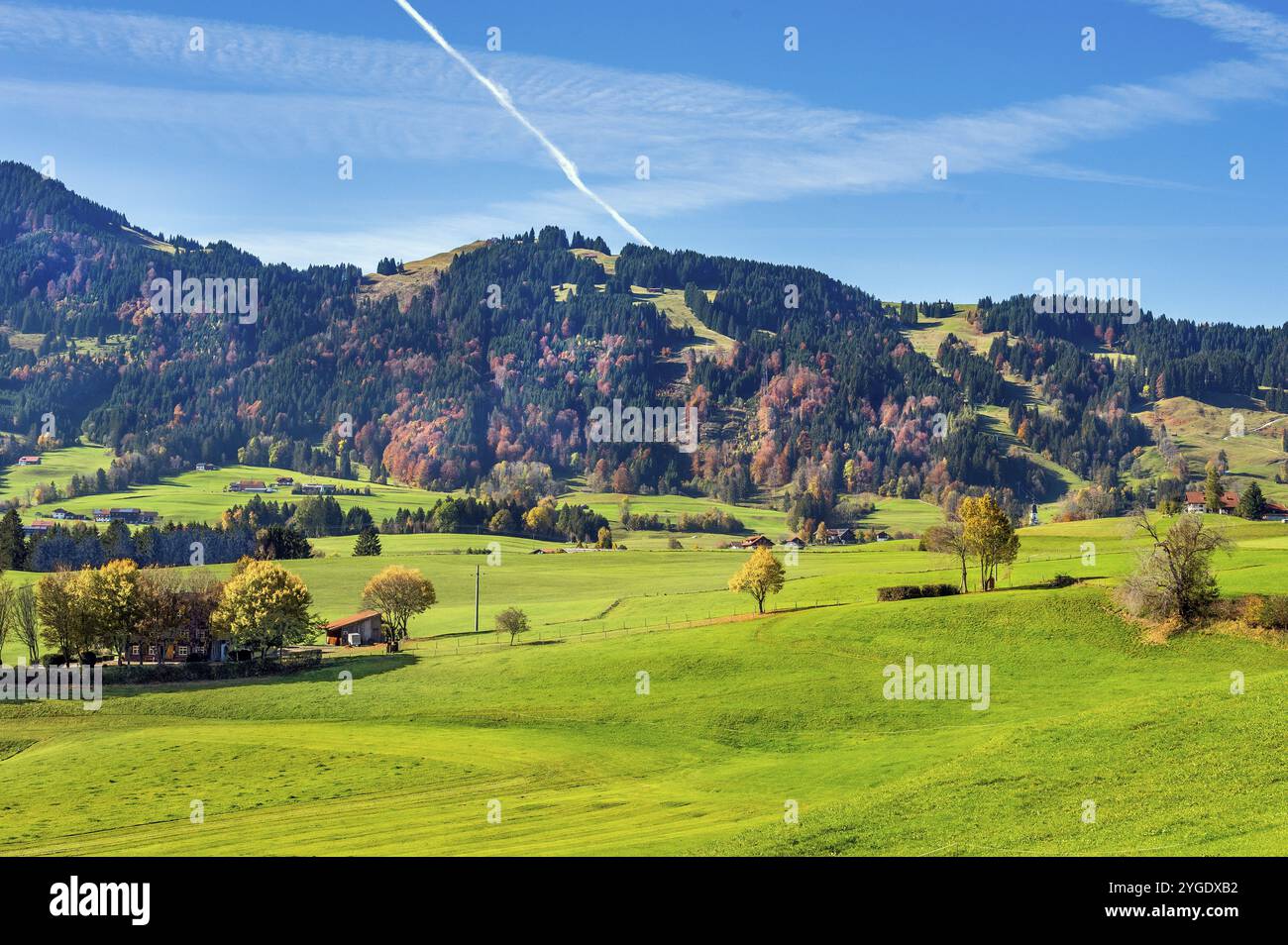 Prati verdi, cielo blu e foresta mista vicino a Ofterschwang, Allgaeu, Baviera, Germania, Europa Foto Stock