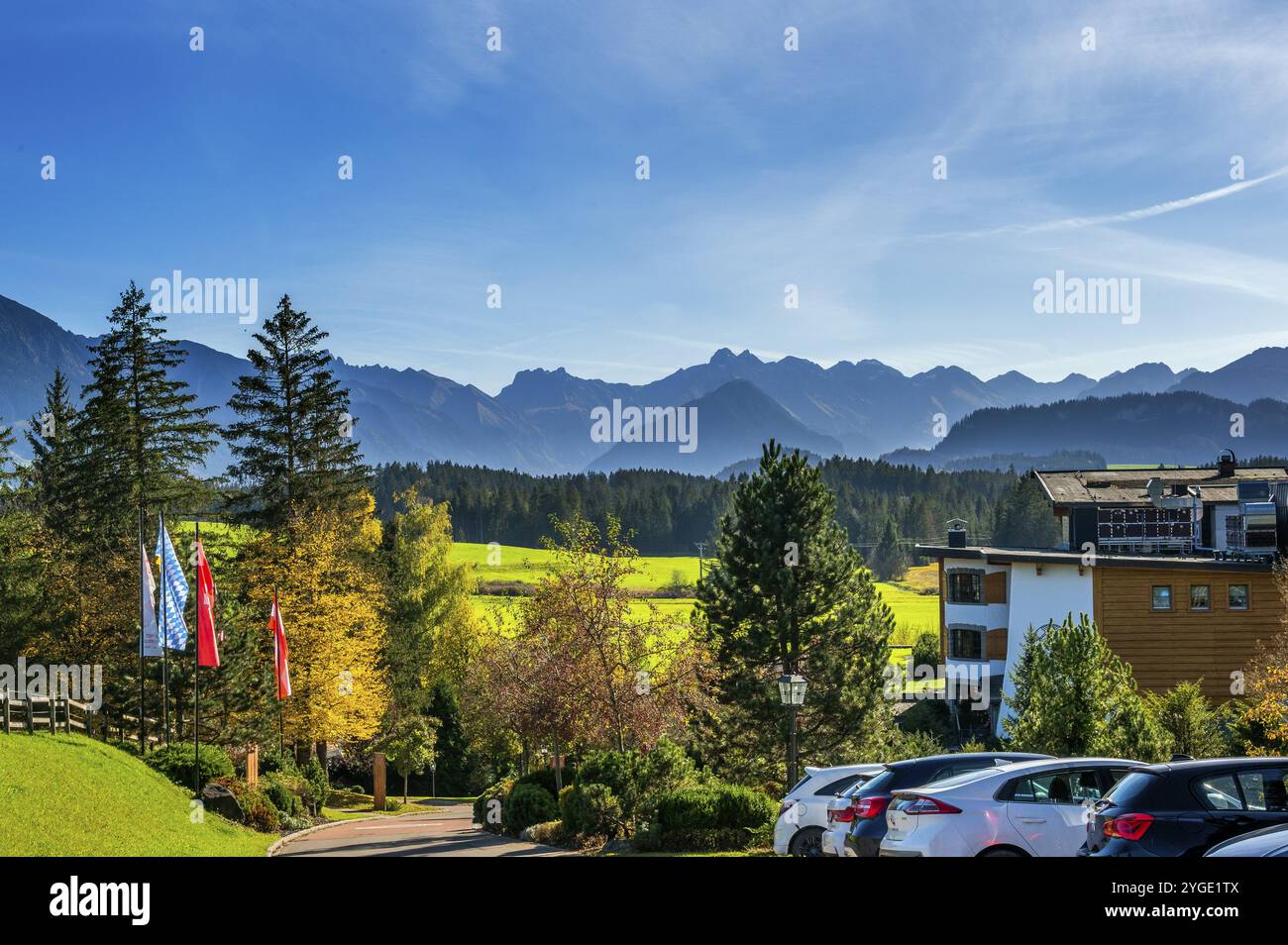 Prati verdi, Alpi Allgaeu e foresta mista con bandiere colorate vicino a Ofterschwang, Allgaeu, Baviera, Germania, Europa Foto Stock
