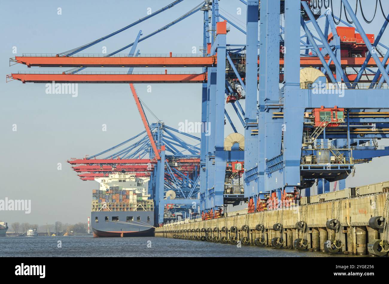 Impianti portuali, terminal container e grandi navi portacontainer ad Amburgo, Germania, Europa Foto Stock