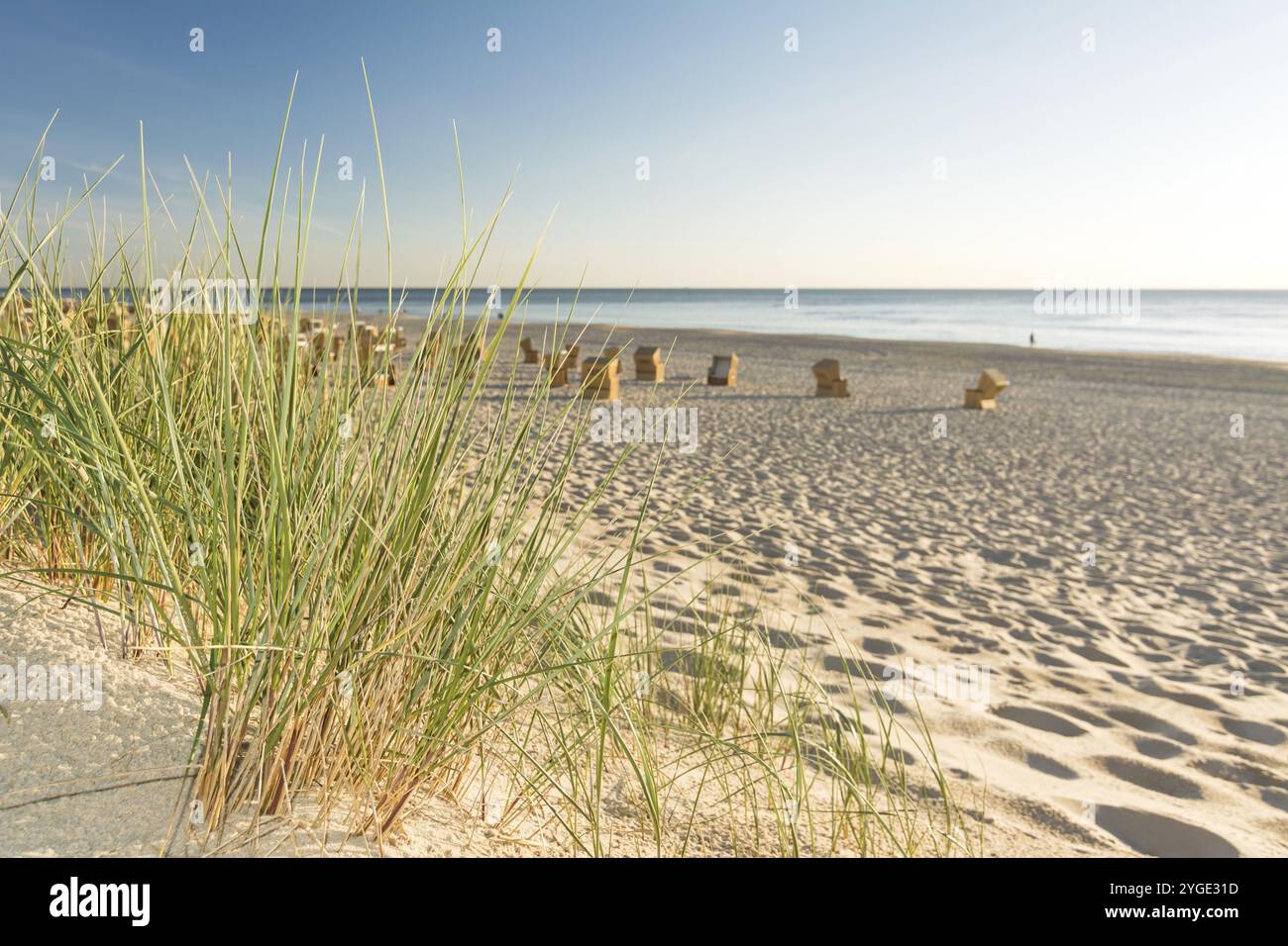 Primo piano dell'erba della spiaggia con sedie a sdraio e oceano sullo sfondo dell'isola di Sylt, Germania, Europa Foto Stock