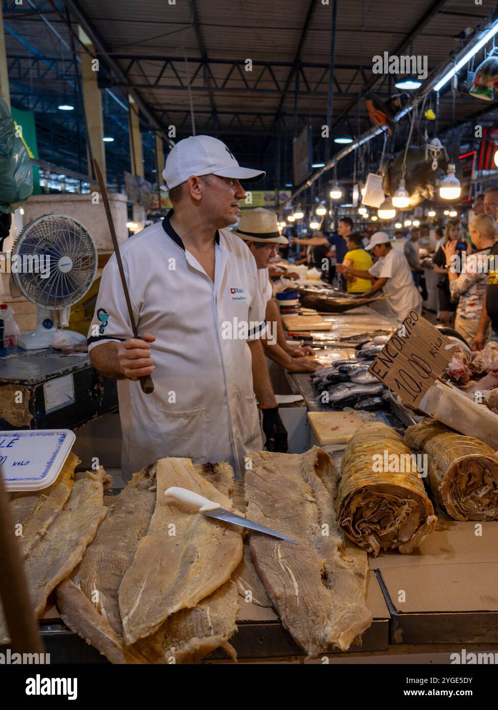 Nel mercato coperto Adolpho Lisboa a Manaus. Ecco il mercato del pesce. Foto Stock