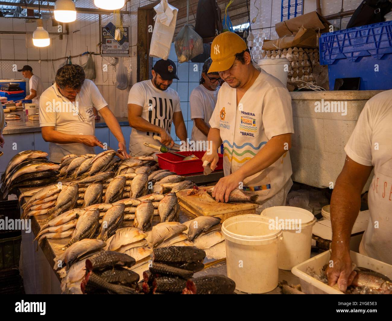 Nel mercato coperto Adolpho Lisboa a Manaus. Ecco il mercato del pesce. Foto Stock