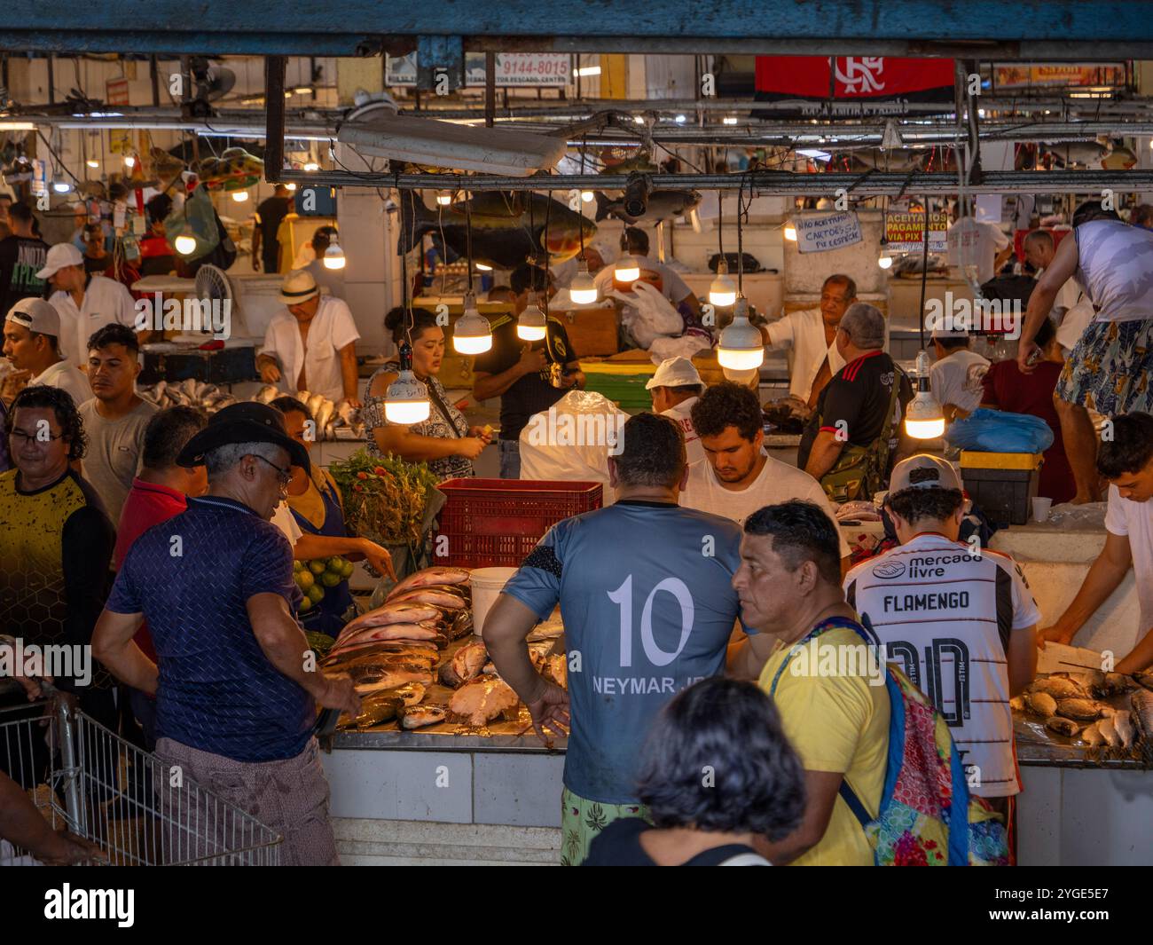 Nel mercato coperto Adolpho Lisboa a Manaus. Ecco il mercato del pesce. Foto Stock