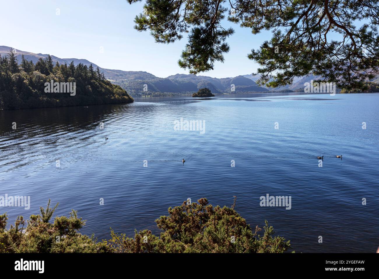 Derwentwater, derwent water, Keswick, Cumbria, Regno Unito, Inghilterra, Cumbrian Lakes, Cumbrian Lake, Lake Derwentwater, Derwentwater Lake, lago, laghi, Cumbria Foto Stock