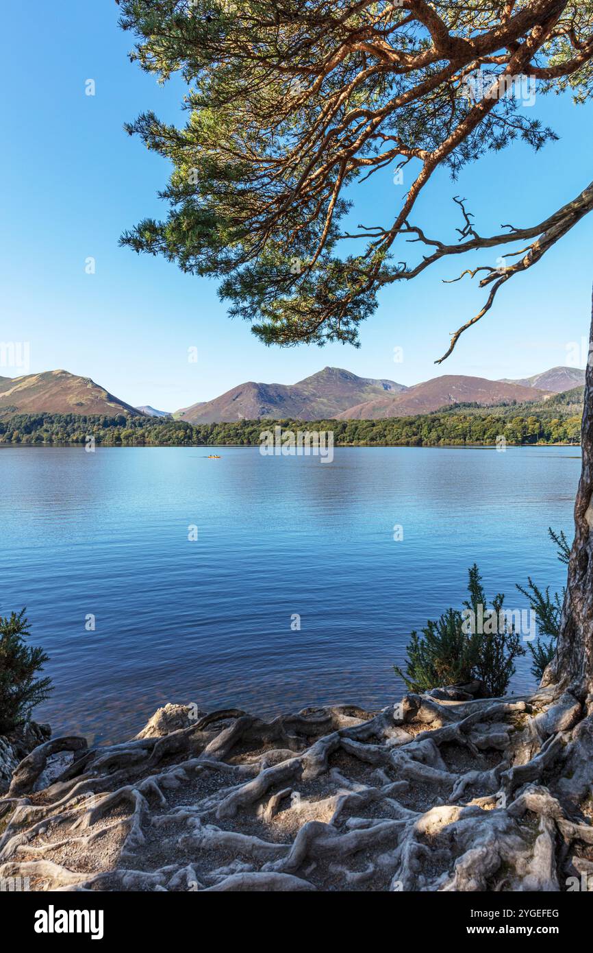 Derwentwater, derwent water, Keswick, Cumbria, Regno Unito, Inghilterra, Cumbrian Lakes, Cumbrian Lake, Lake Derwentwater, Derwentwater Lake, lago, laghi, Cumbria Foto Stock