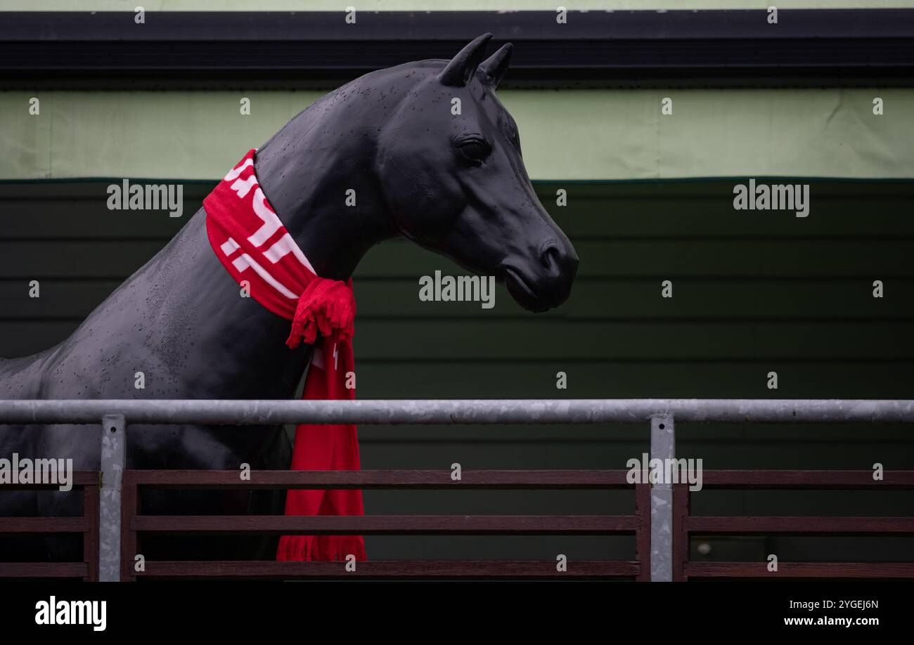 Scene dell'ippodromo Down Royal il giorno 2 del weekend del Festival of Racing, con la Ladbrokes Champion Chase. Foto Stock