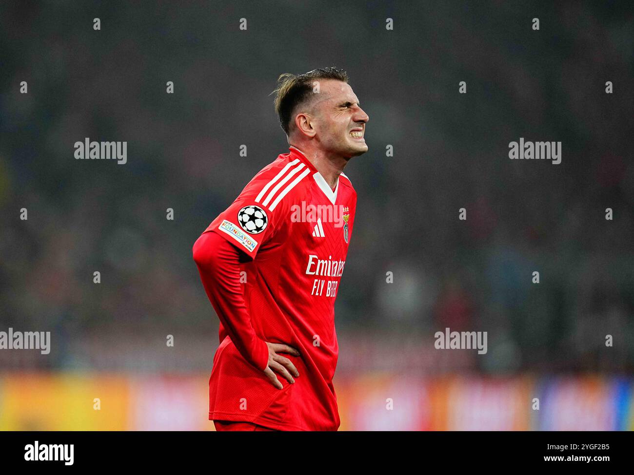 Allianz Areana, Monaco, Germania. 6 novembre 2024. Kerem Akturkoglu del Benfica gesti durante una partita del quarto turno di Champions League, Bayern Monaco contro Benfica, all'Allianz Areana di Monaco, Germania. Ulrik Pedersen/CSM/Alamy Live News Foto Stock