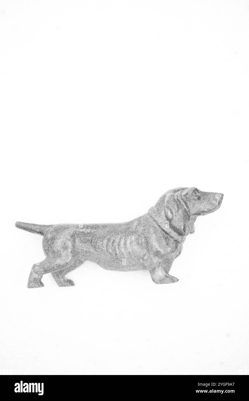 Disegna una matita simile a un modello di cane Dachsund che guarda verso l'alto Foto Stock
