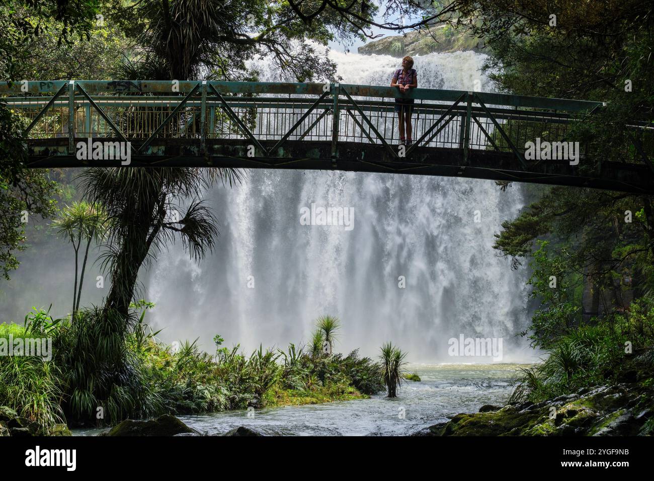 Un turista che guarda la vista dal ponte pedonale sul fiume Hatea alle cascate Whangarei, Whangarei, North Island, nuova Zelanda Foto Stock