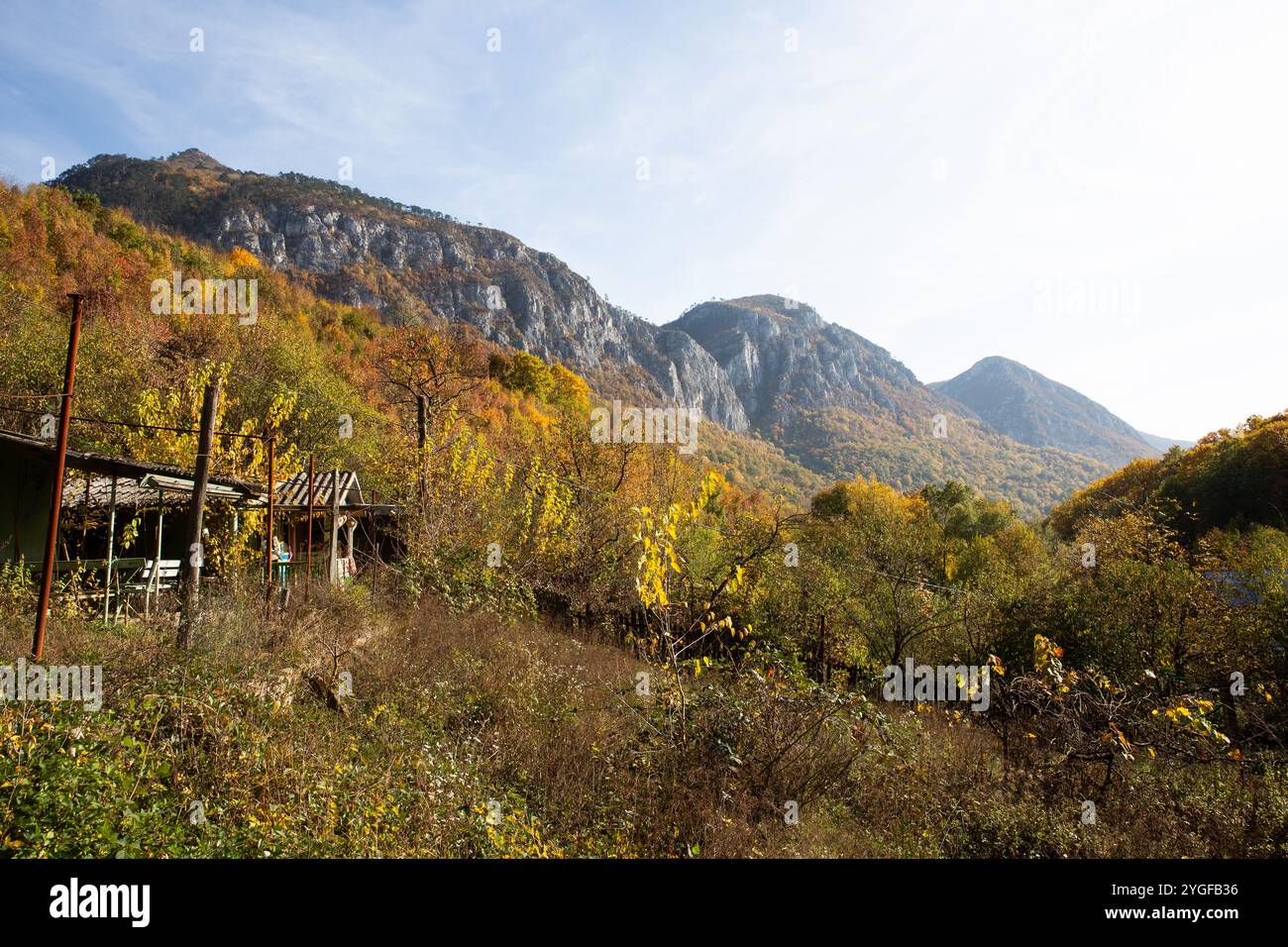 Capanna rustica nei Carpazi in autunno, circondata da foreste colorate e enormi montagne. Foto Stock