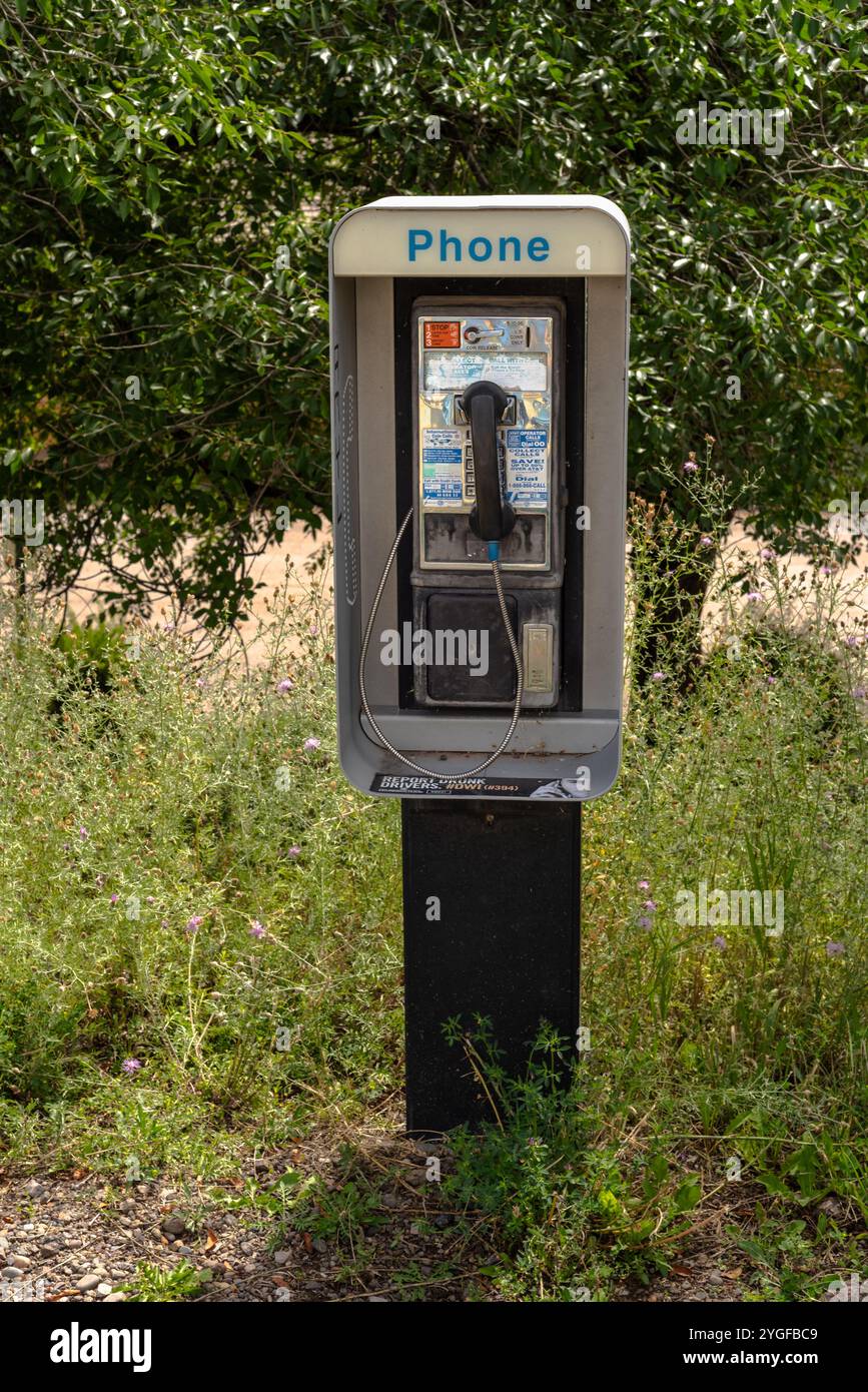 Telefono a pagamento all'aperto, fogliame in background, Chama, New Mexico, Stati Uniti. Foto Stock