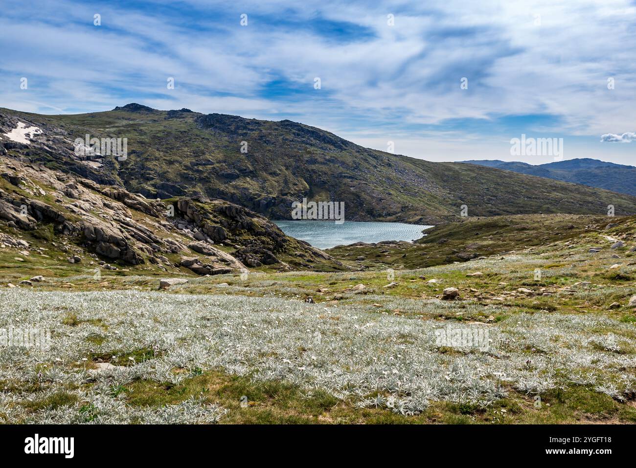 Esplora gli splendidi paesaggi della catena principale a piedi sul monte Kosciuszko, mostrando acque tranquille e terreni accidentati, l'Australia Foto Stock