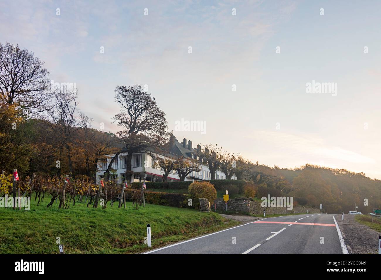 Tulbing: collina Tulbingerkogel all'alba, hotel e ristorante Tulbingerkogel a Wienerwald, boschi di Vienna, Niederösterreich, bassa Austria, Austria Foto Stock