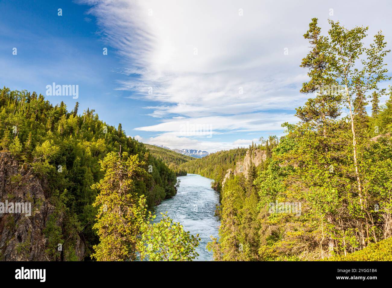 Russian River, Penisola di Kenai, Alaska, U.S.A. Foto Stock