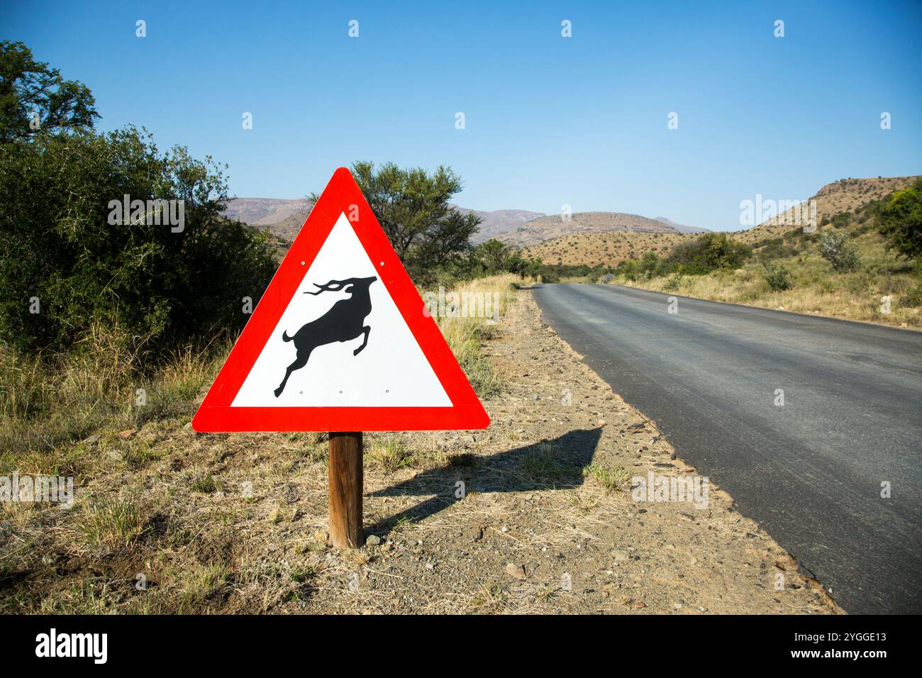 Attenzione agli animali segno Mountain Zebra National Park, Sud Africa Foto Stock