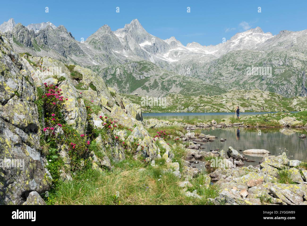 Un bellissimo paesaggio estivo tipico del Trentino, il lago Nero e le sue Alpi Retiche. Europa, Italia, Trentino alto Adige, Valle Nambrone, Trento pr Foto Stock