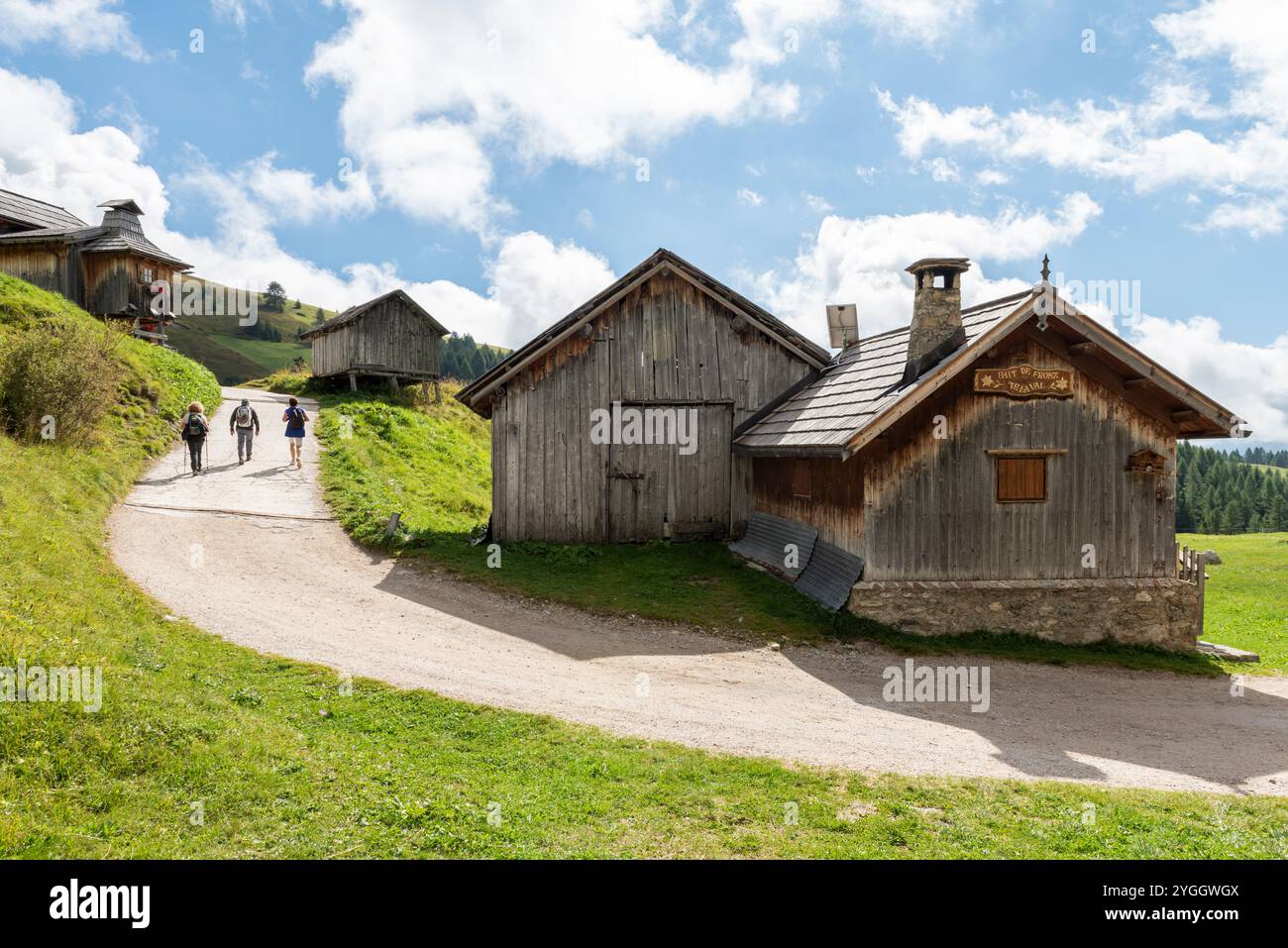 Strada di montagna che attraversa il passo San Pellegrino e conduce al rifugio Fuciade. Europa, Italia, Trentino alto Adige, Val di Fassa, San Pellegrino Foto Stock